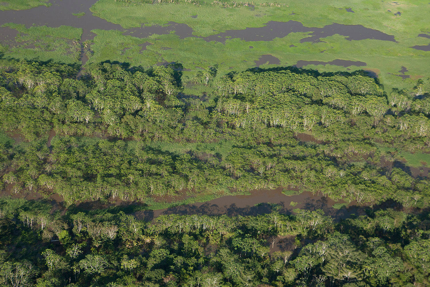 20AMAZONAS slider 21_MG_4404.jpg